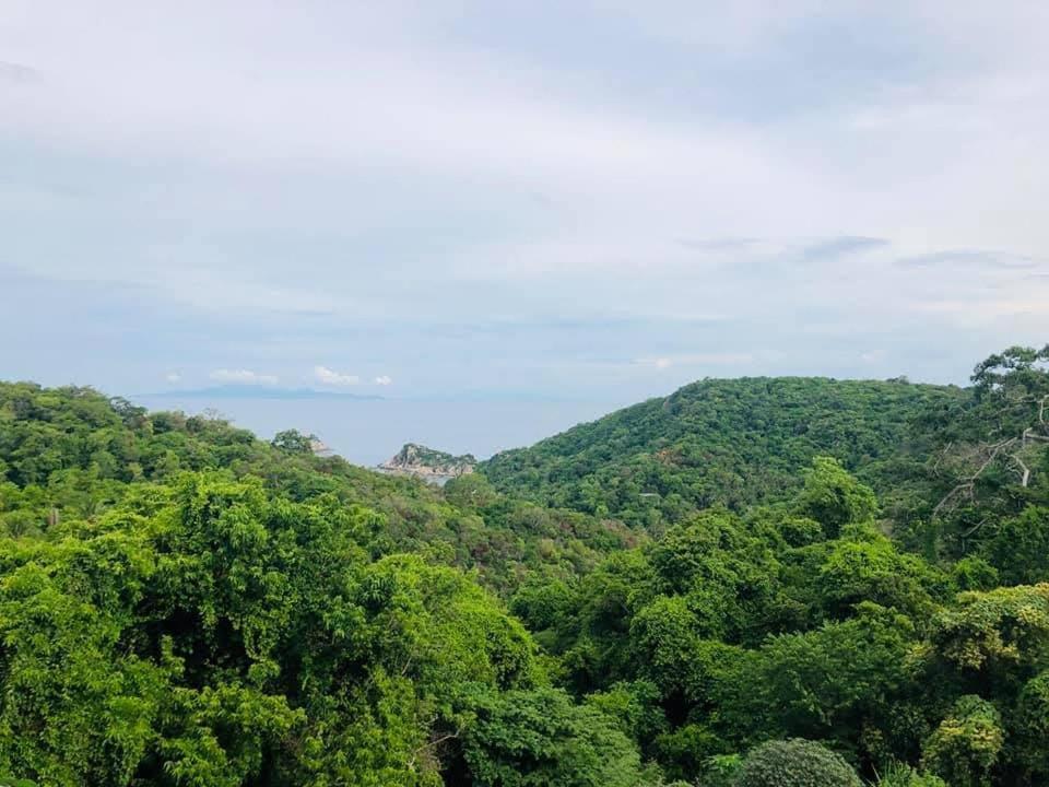 Tree House Bungalows タオ島 エクステリア 写真