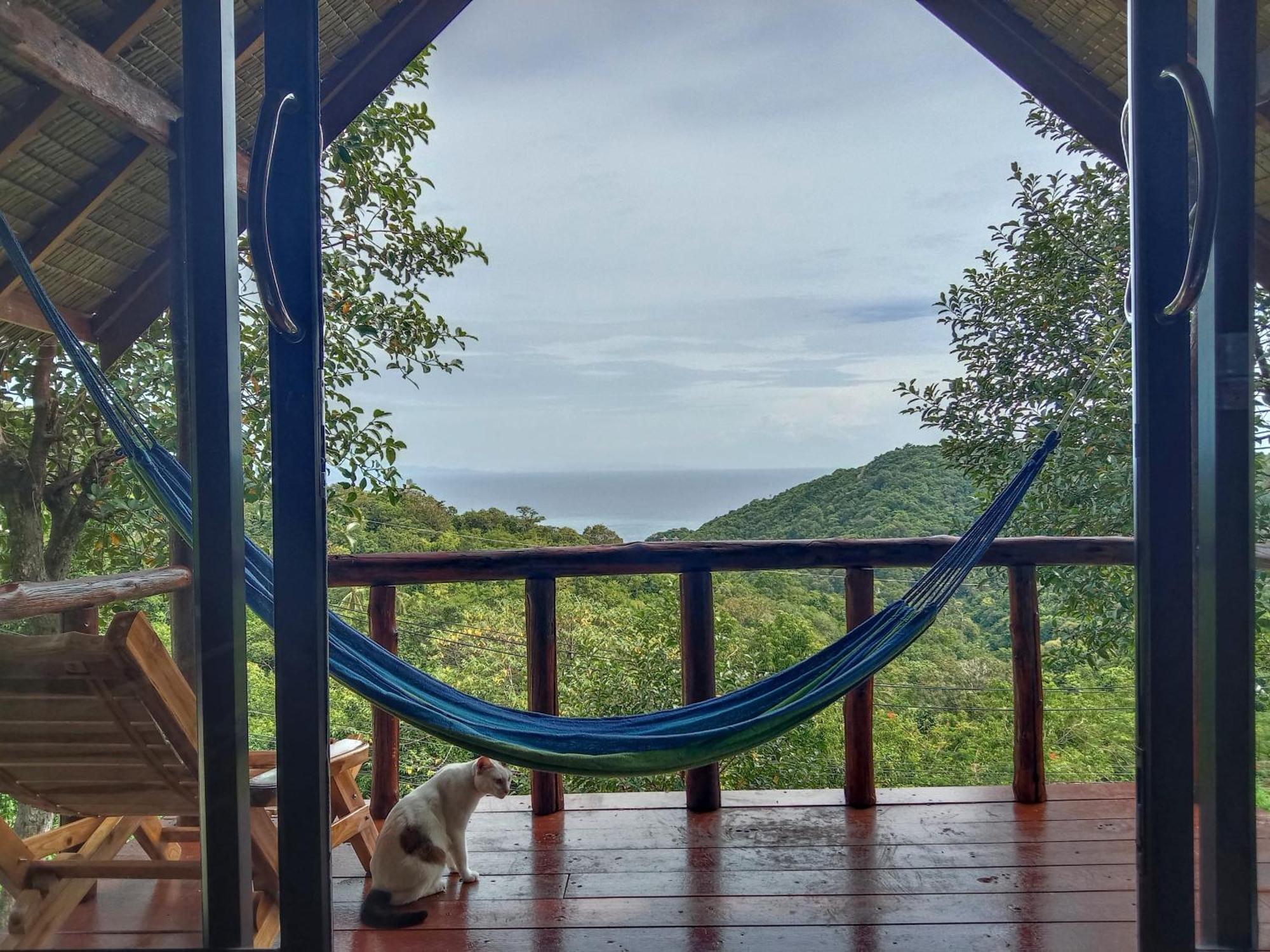 Tree House Bungalows タオ島 エクステリア 写真